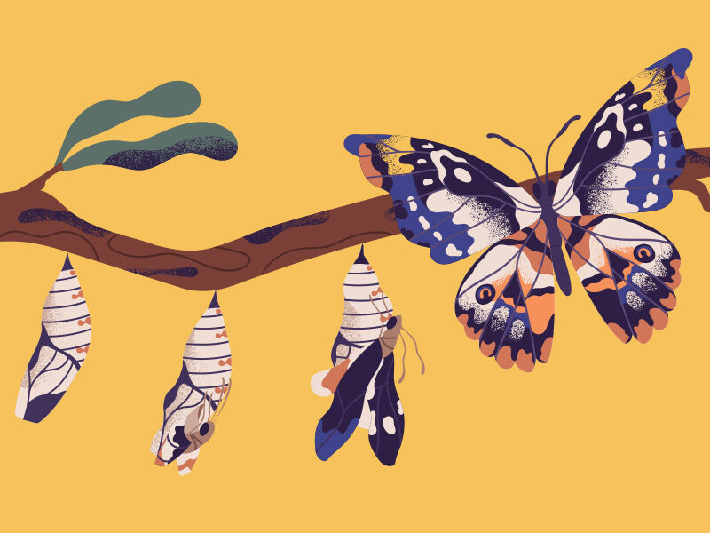 Organizational change expert and Co-founder of The Management Lab, Polly LaBarre, invites us to delve into the realm of transformation from a unique perspective. In this enlightening blog piece, Polly takes us on a journey of self-realization and empowerment, challenging conventional notions of change.