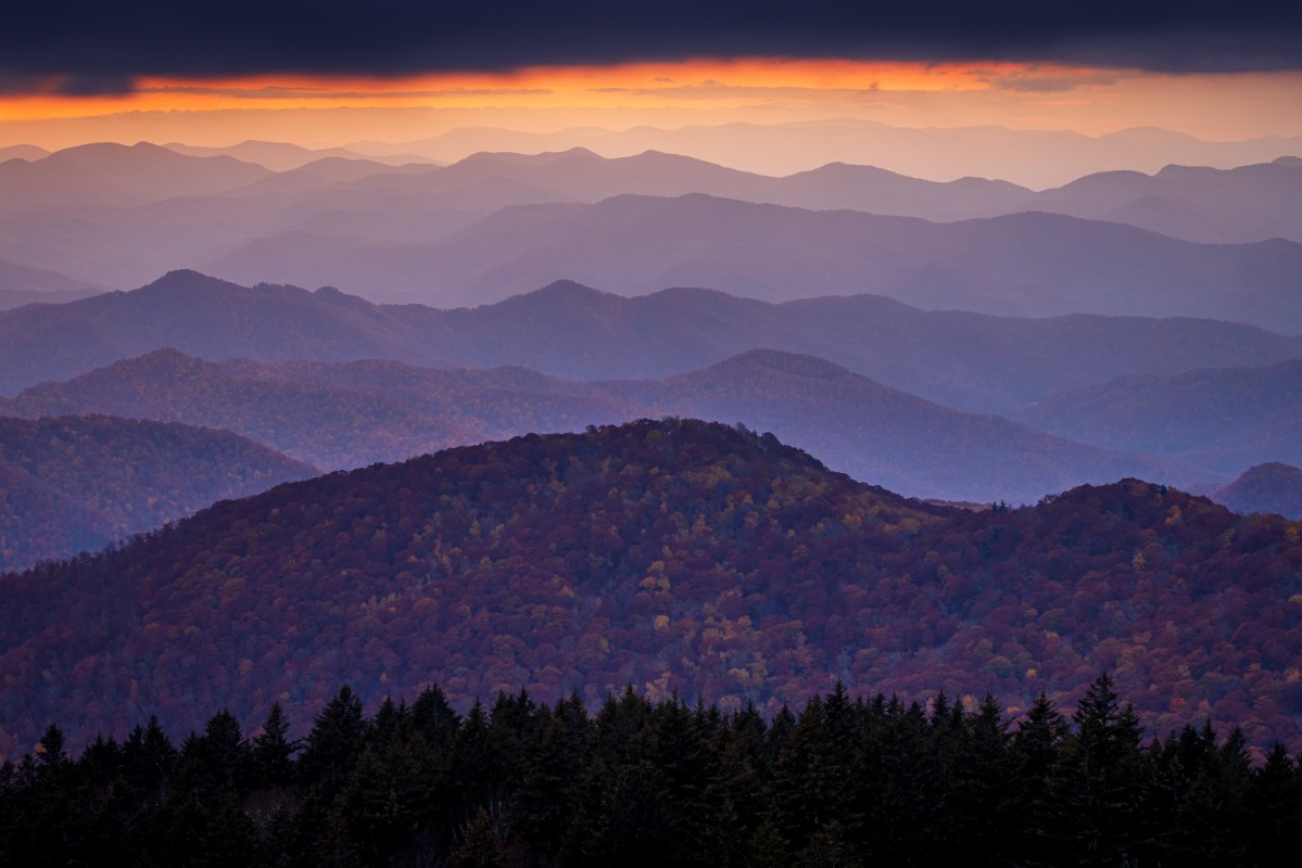 National Geographic Adventurer of the Year Jennifer Pharr Davis shares stories to challenge and inspire all of us to blaze our own trails.